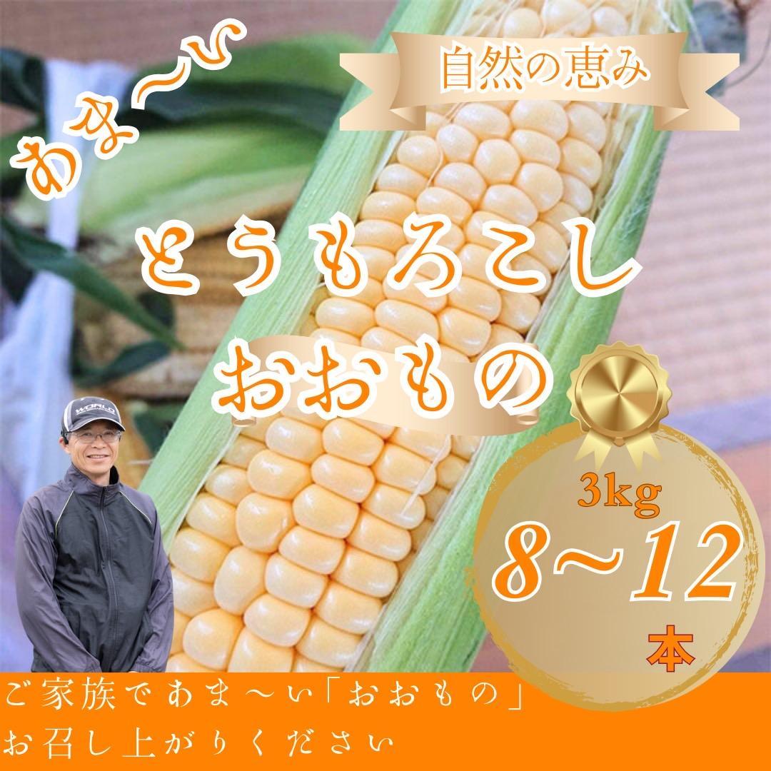 とうもろこし&nbsp;おおもの&nbsp;約3kg(8～12本)