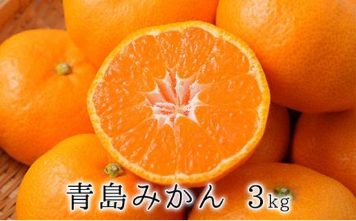 【2025年1月中旬より順次発送】甘さと酸味がマッチ　青島みかん3kg 5,000円