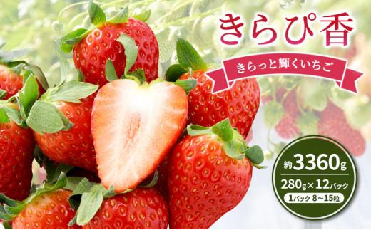 いちご キラっと輝くいちご きらぴ香 6箱 12パック 果物 イチゴ 苺 国産 ギフト 贈答品 お祝い プレゼント フルーツ くだもの