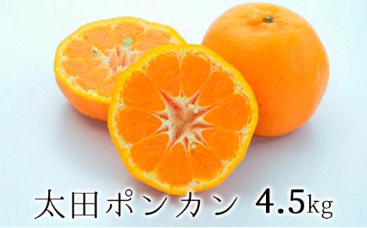 【2025年1月下旬より順次発送】静岡県清水生まれの美味しい柑橘・太田ポンカン 4.5kg