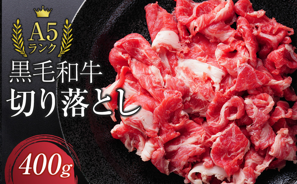 【12月期間限定の特別寄附額】A5ランク黒毛和牛切り落とし400g【配送不可：離島】◆