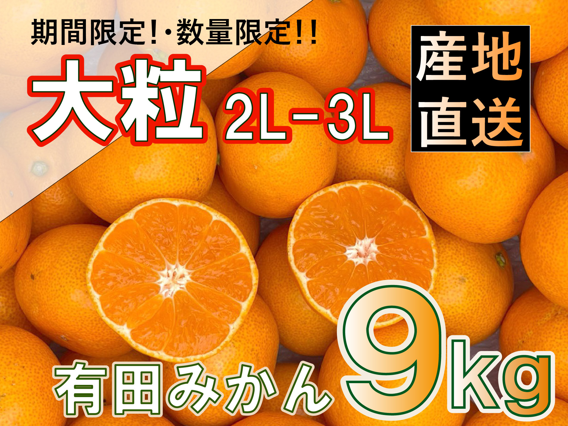 ［先行予約］和歌山県産&nbsp;有田みかん&nbsp;大玉&nbsp;大粒&nbsp;9kg&nbsp;2L～3L