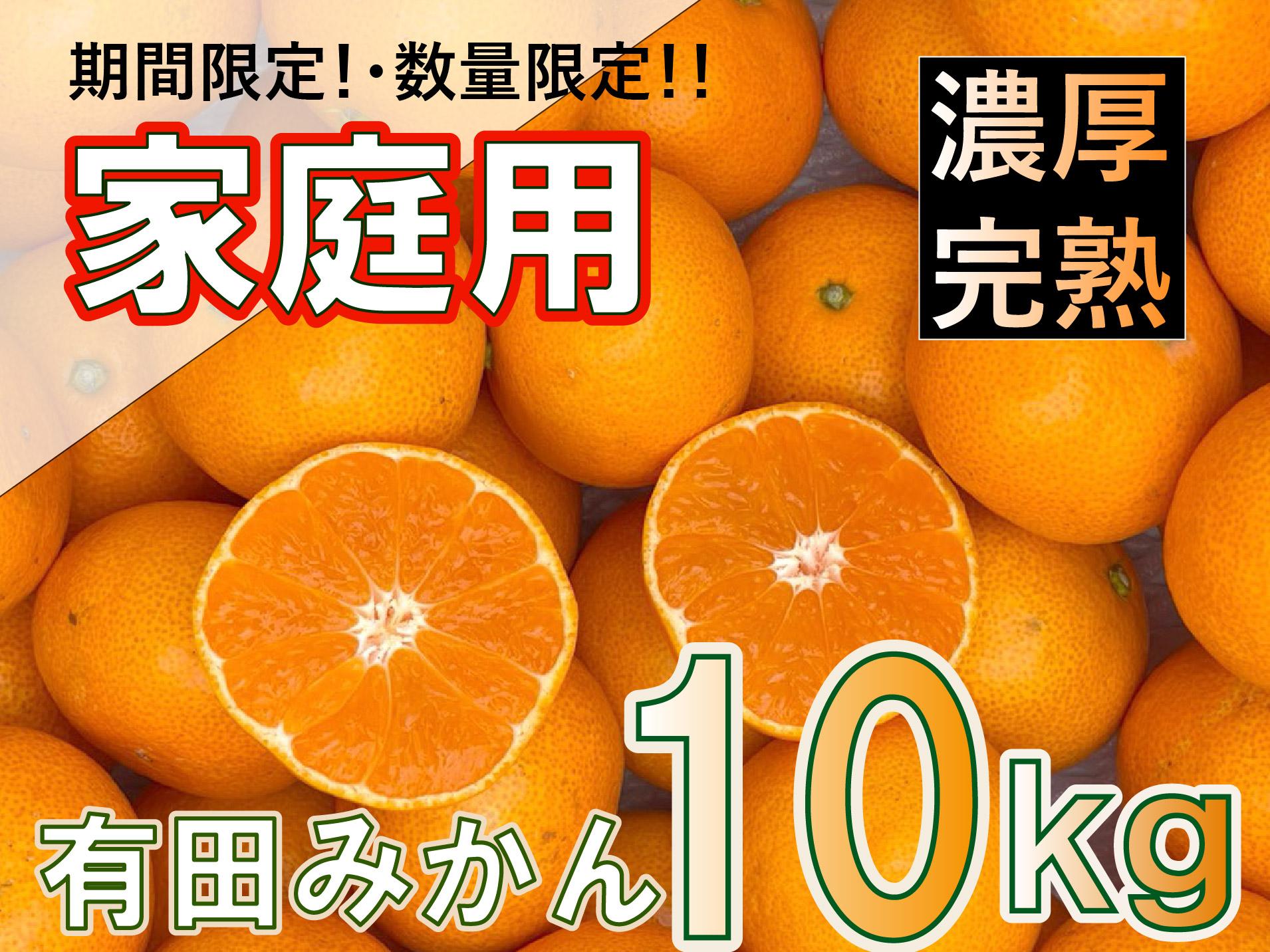 和歌山県産 有田みかん 家庭用 10kg　味重視