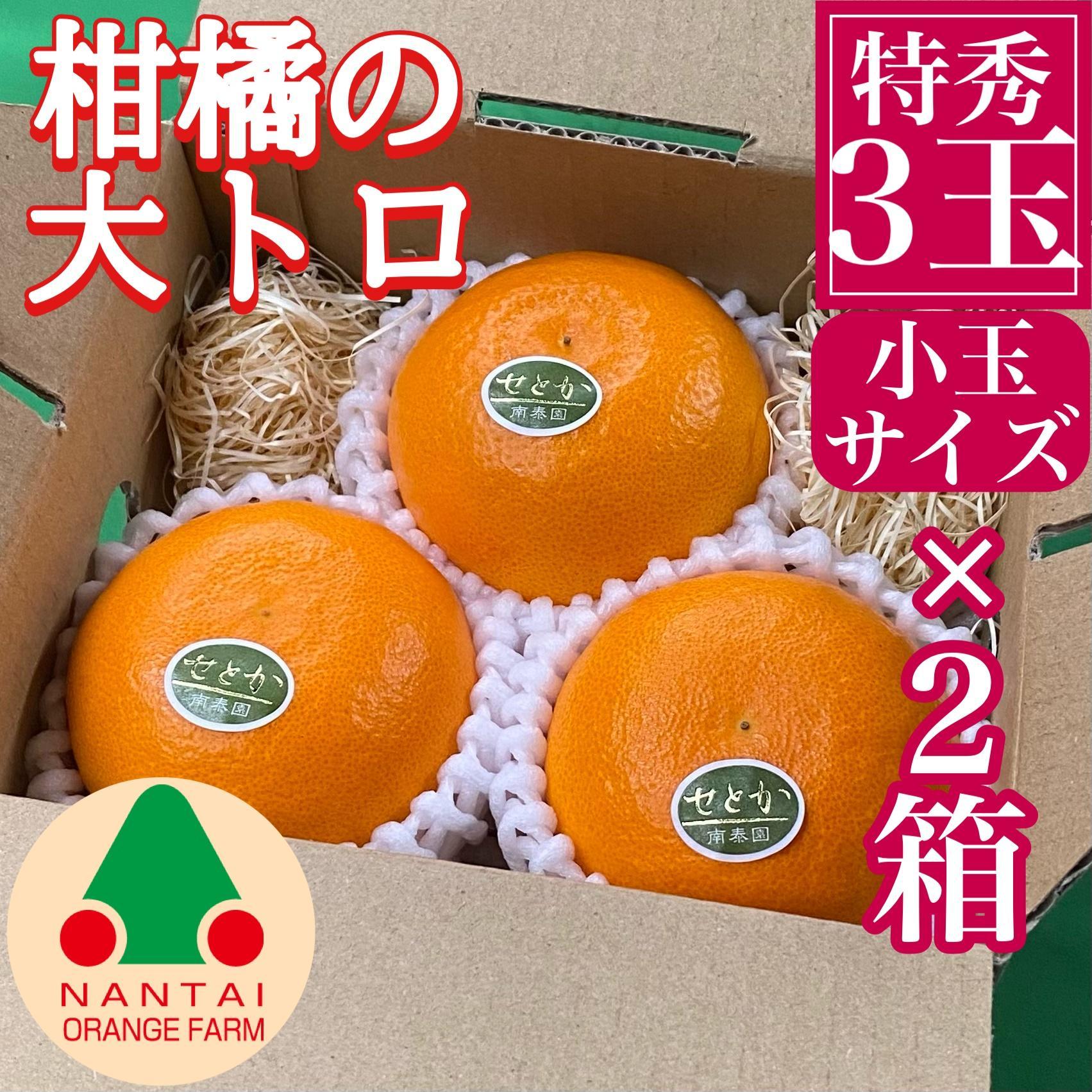 お試し規格 柑橘の大トロ ハウス せとか 厳選 小玉 3玉入 手さげ箱 × 2箱 南泰園 和歌山 有田