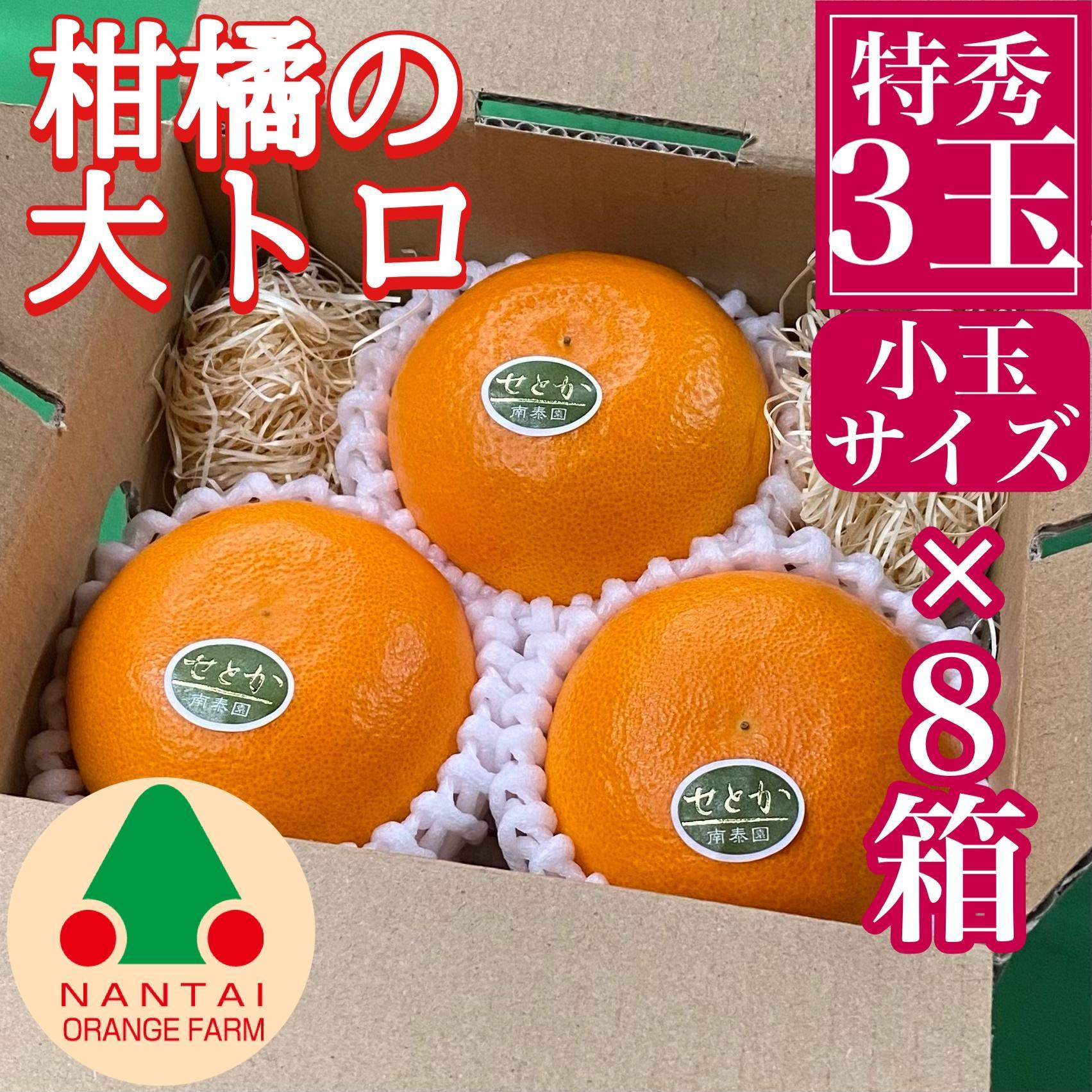 お試し規格 柑橘の大トロ ハウス せとか 厳選 小玉 3玉入 手さげ箱 × 8箱 南泰園 和歌山 有田