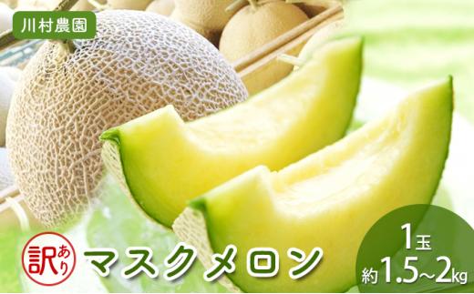 【静岡・三保松原の甘い誘惑マスクメロン】訳ありでも甘い！マスクメロン&nbsp;1玉（約1.5kg～2kgサイズ）■