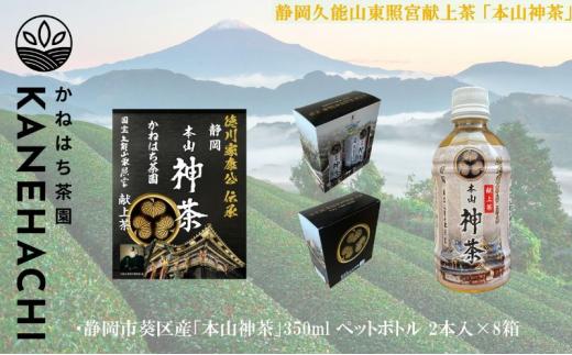 静岡久能山東照宮献上茶「本山神茶」 お茶 350ml ペットボトル 2本入×8箱 セット 静岡市葵区産 かねはち茶園 飲料 オススメお茶