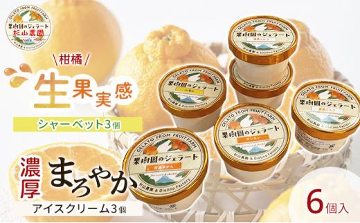 果樹園のジェラート 柑橘食べ比べ6個セット 100ml×6個 冷凍 ギフト アイスクリーム シャーベット