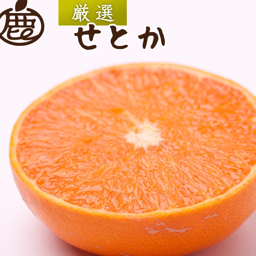 厳選 せとか約3kg+90g（傷み補償分）【柑橘・春みかんの王様】【光センサー選別】【2025年2月初旬～2025年4月中旬頃 順次発送予定】【IKE61】