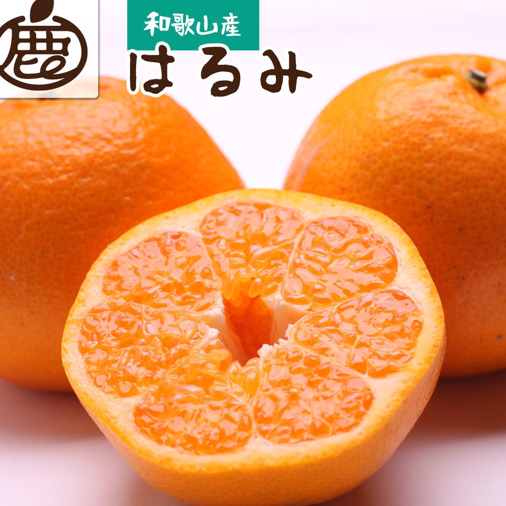 厳選 はるみ約3kg+90g（傷み補償分）【不知火の姉妹品種・新食感春みかん】【2025年2月初旬～2025年3月末日頃 順次発送予定】【IKE44】