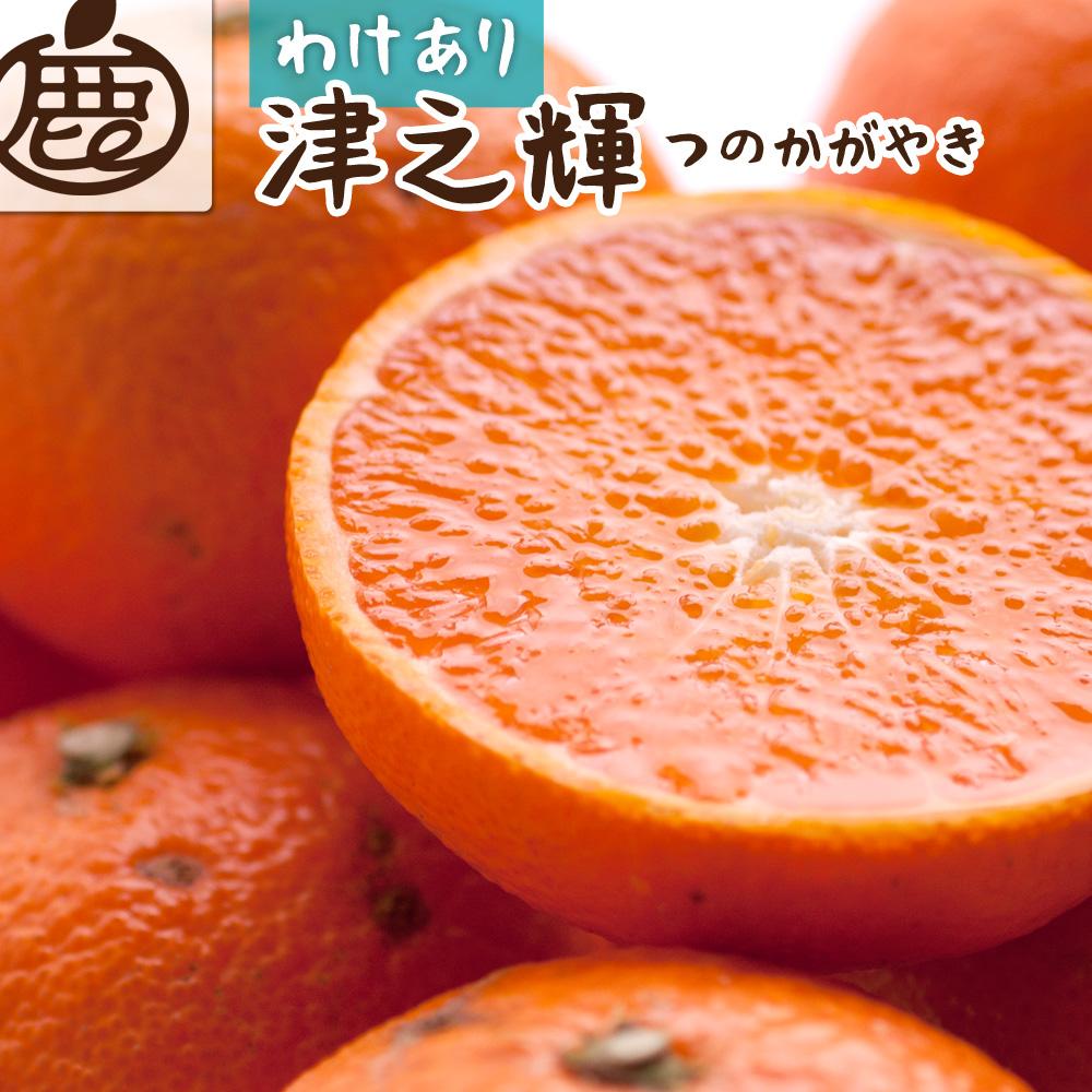 【 家庭用 】 津之輝 約1.2kg+36g（傷み補償分）つのかがやき【わけあり・訳あり】【光センサー選別】【2025年2月初旬～2025年4月中旬頃 順次発送予定】【IKE57】