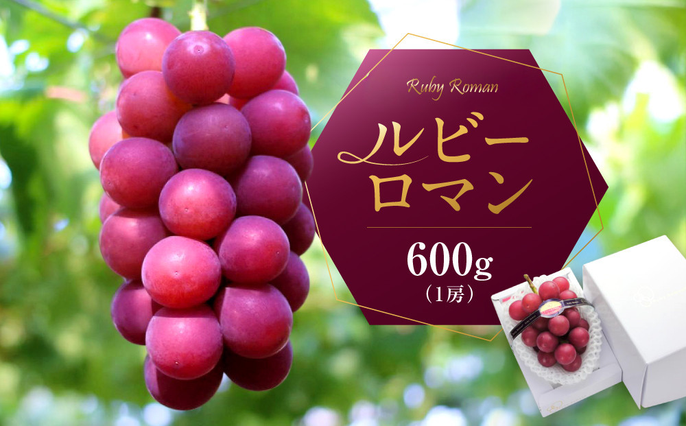 ルビーロマン&nbsp;600g&nbsp;|&nbsp;葡萄&nbsp;ぶどう&nbsp;ブドウ&nbsp;高級&nbsp;フルーツ&nbsp;果物&nbsp;金沢市&nbsp;石川県ぶどう&nbsp;高級ぶどう&nbsp;赤ぶどう&nbsp;大粒ぶどう&nbsp;ブランドぶどう&nbsp;金沢フルーツ&nbsp;石川県特産品&nbsp;金沢お土産&nbsp;お中元フルーツ&nbsp;ギフトぶどう&nbsp;贈答用ぶどう&nbsp;旬の果物&nbsp;新鮮ぶどう&nbsp;高級フルーツ&nbsp;フルーツギフト&nbsp;ルビーロマンお取り寄せ&nbsp;金沢産ぶどう&nbsp;希少ぶどう&nbsp;石川&nbsp;金沢&nbsp;加賀百万石&nbsp;加賀&nbsp;百万石&nbsp;北陸&nbsp;北陸復興&nbsp;北陸支援