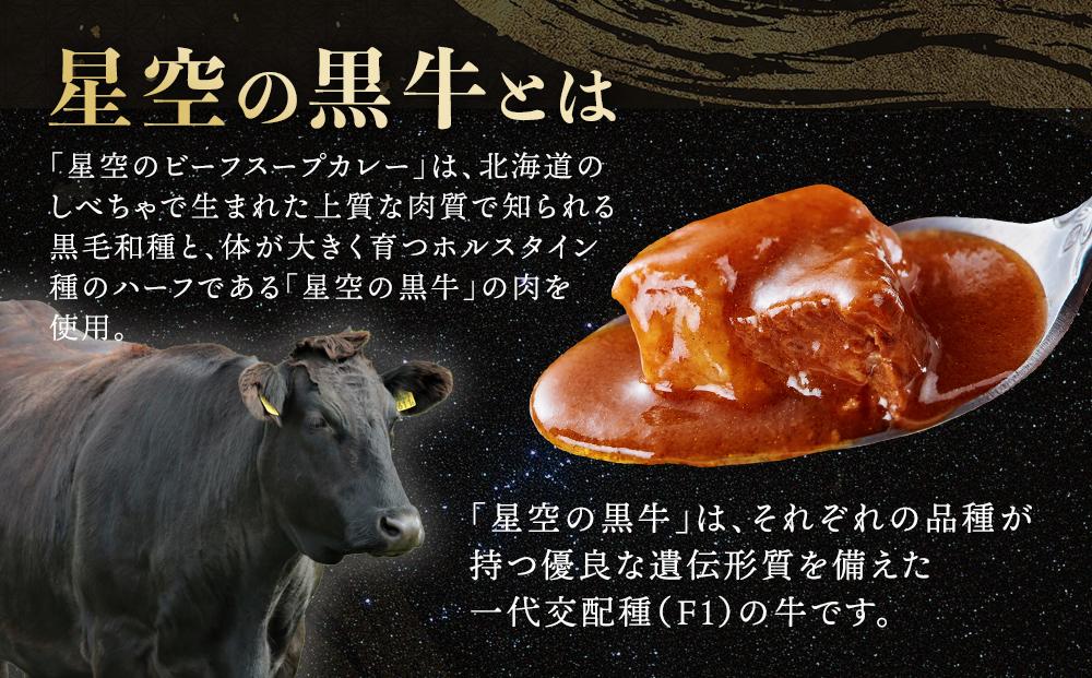 星空の黒牛」ビーフスープカレー（300g）×5個 | JTBのふるさと納税 