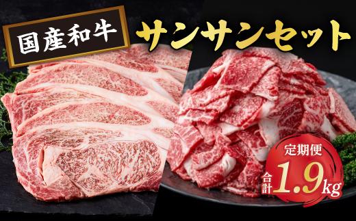 牛肉サンサンセット【定期便全2回】