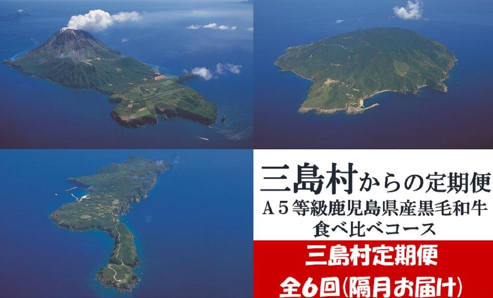 【特選定期便】隔月６回お届け　A5等級鹿児島県産黒毛和牛食べ比べ