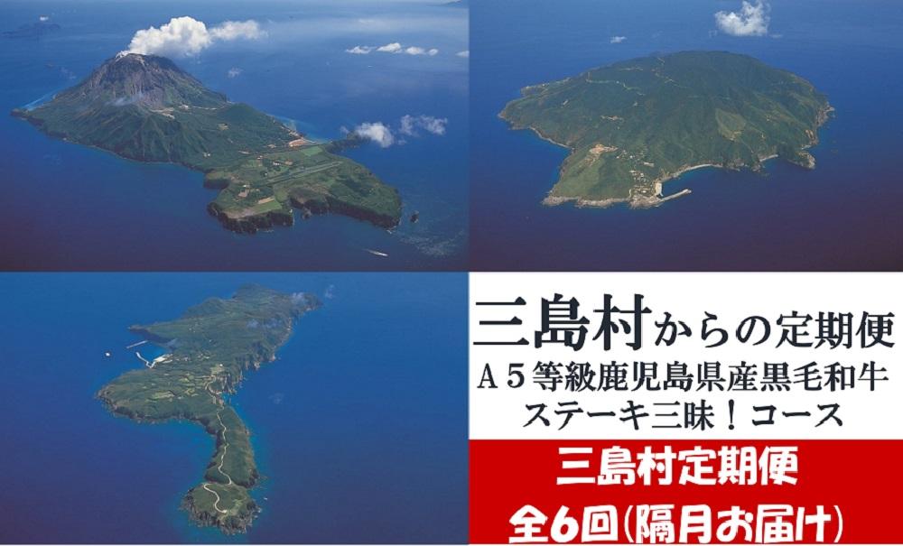 【定期便】A５等級鹿児島県産黒毛和牛ステーキ三昧！（年６回お届け）