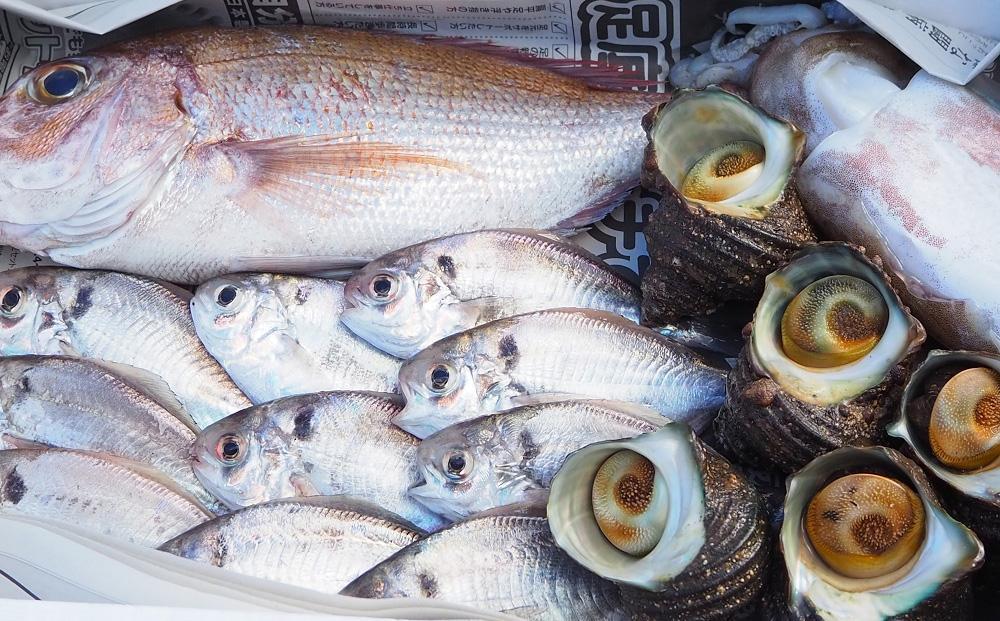 ＜定期便全4回＞3か月に1回お届け！1年続けて鮮魚を楽しめます！旬の地魚詰め合わせ 2kg以上定期便