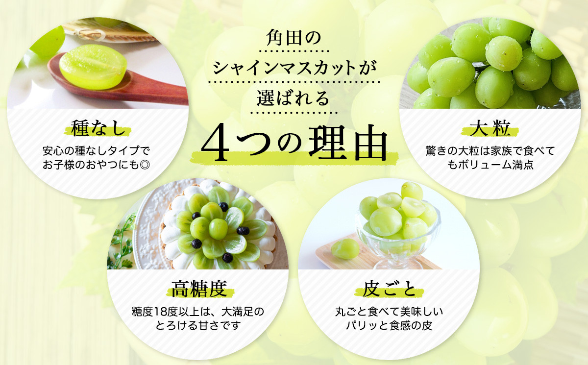 シャインマスカットページ 2026年発送分先行予約】シャインマスカット 1房（約500～600g）【2026