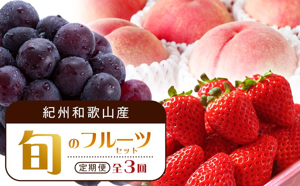 【2・7・9月 全3回】紀州和歌山産旬のフルーツセット（いちご・桃・ピオーネ）【UT95】