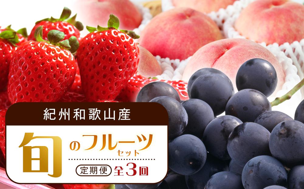 【2・7・9月 全3回】紀州和歌山産旬のフルーツセット（いちご・桃・巨峰）【UT96】