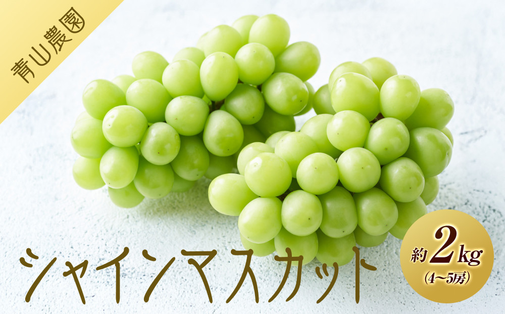 【先行予約】【数量限定】&nbsp;シャインマスカット&nbsp;約2kg&nbsp;〔2026年8月上旬より順次発送〕