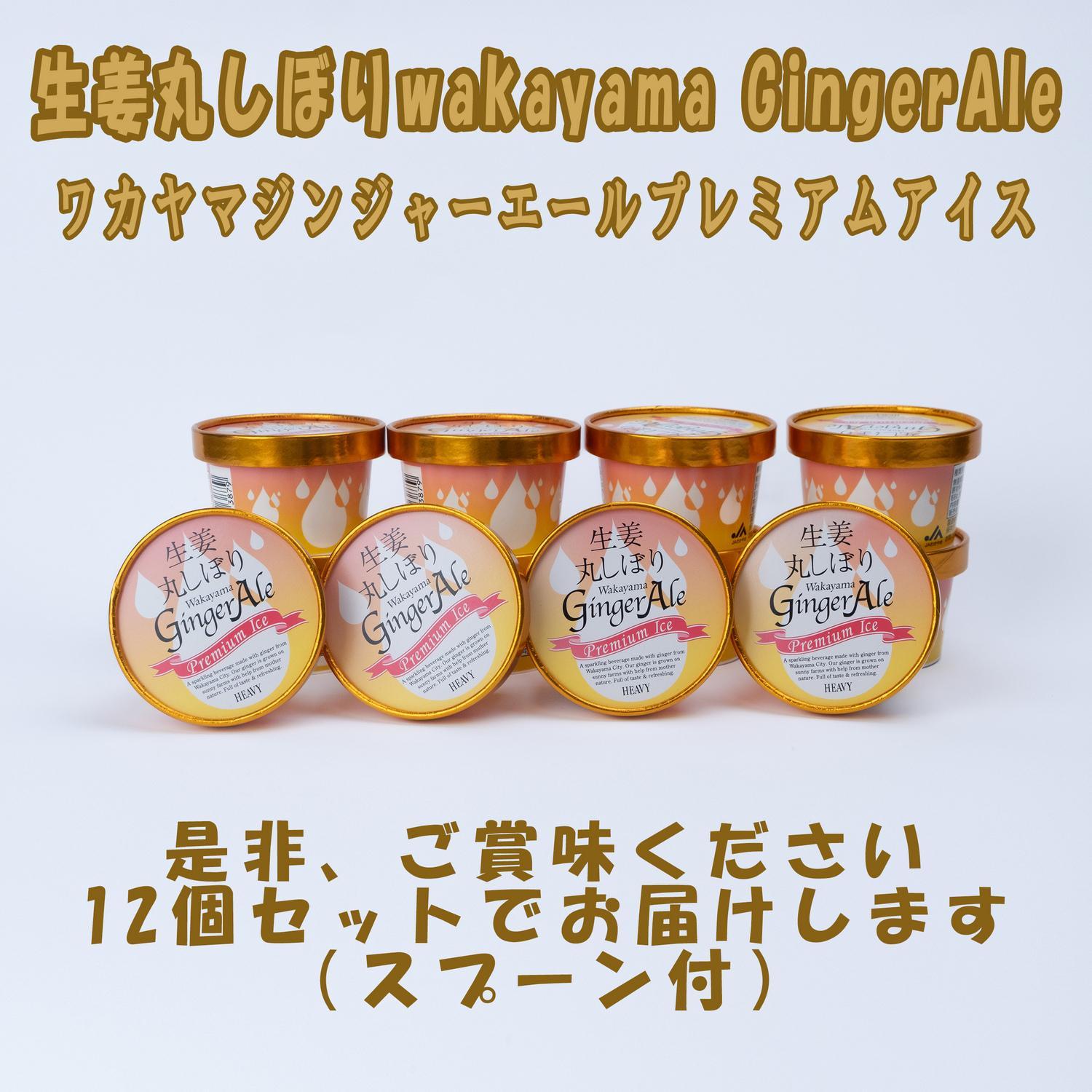 ワカヤマジンジャーエールプレミアム アイス12個