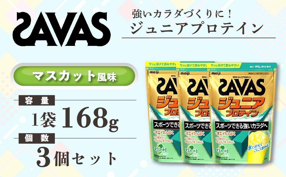 GJ84　明治 ザバス ジュニアプロテイン マスカット風味 168g（約12食分）【3袋セット】【SAVAS ザバス プロテイン 人気プロテイン　明治プロテイン 健康 健康食品 美容 ボディメイク 体づくり 筋トレ 岡山県 倉敷市 人気 おすすめ】