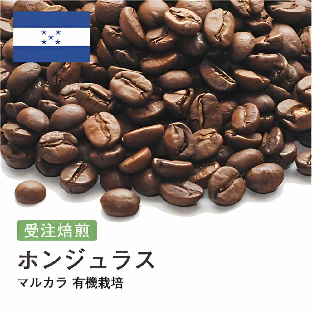 コーヒー豆 #189 ホンジュラス マルカラ 有機栽培 オーガニック 受注焙煎！310g 珈琲豆 コーヒー豆 自家焙煎