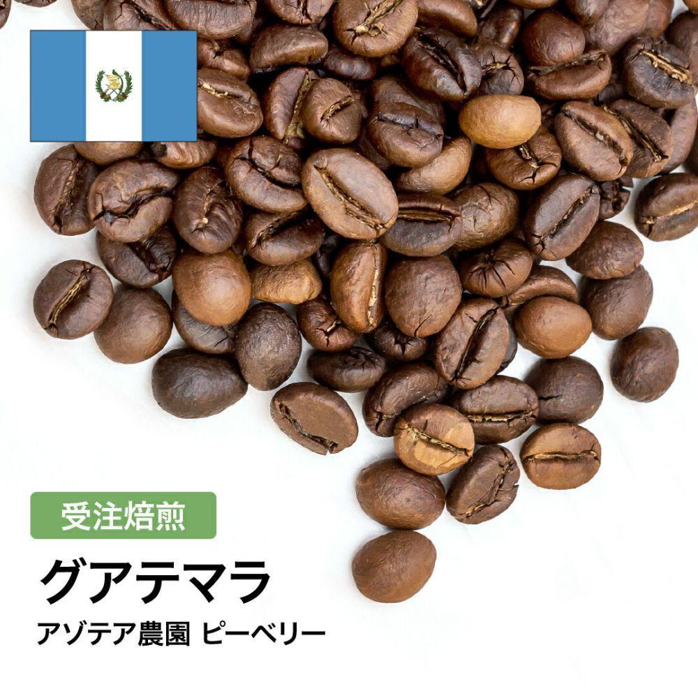 コーヒー豆 #285 グアテマラ アゾテア農園 ピーベリー 受注焙煎！310g 珈琲豆  自家焙煎