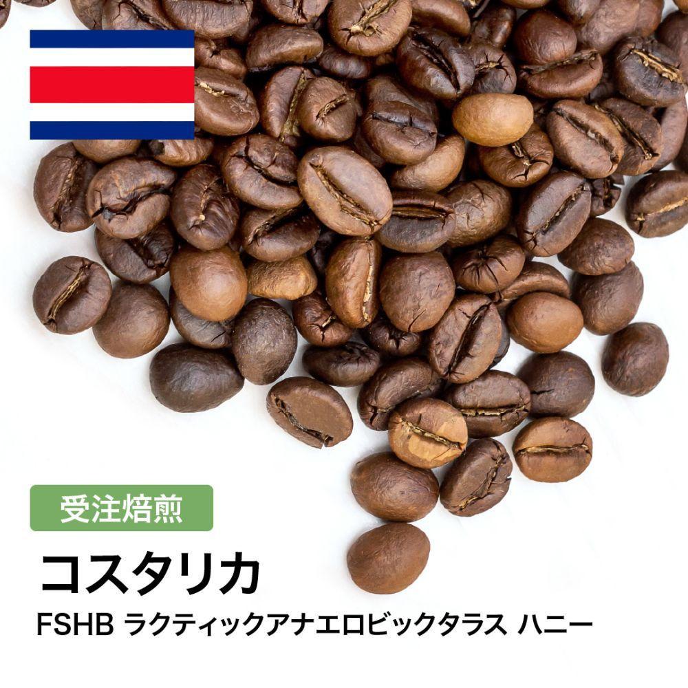 コーヒー豆 #306 コスタリカ FSHB ラクティックアナエロビックタラス ハニー 受注焙煎！310g 珈琲豆  自家焙煎