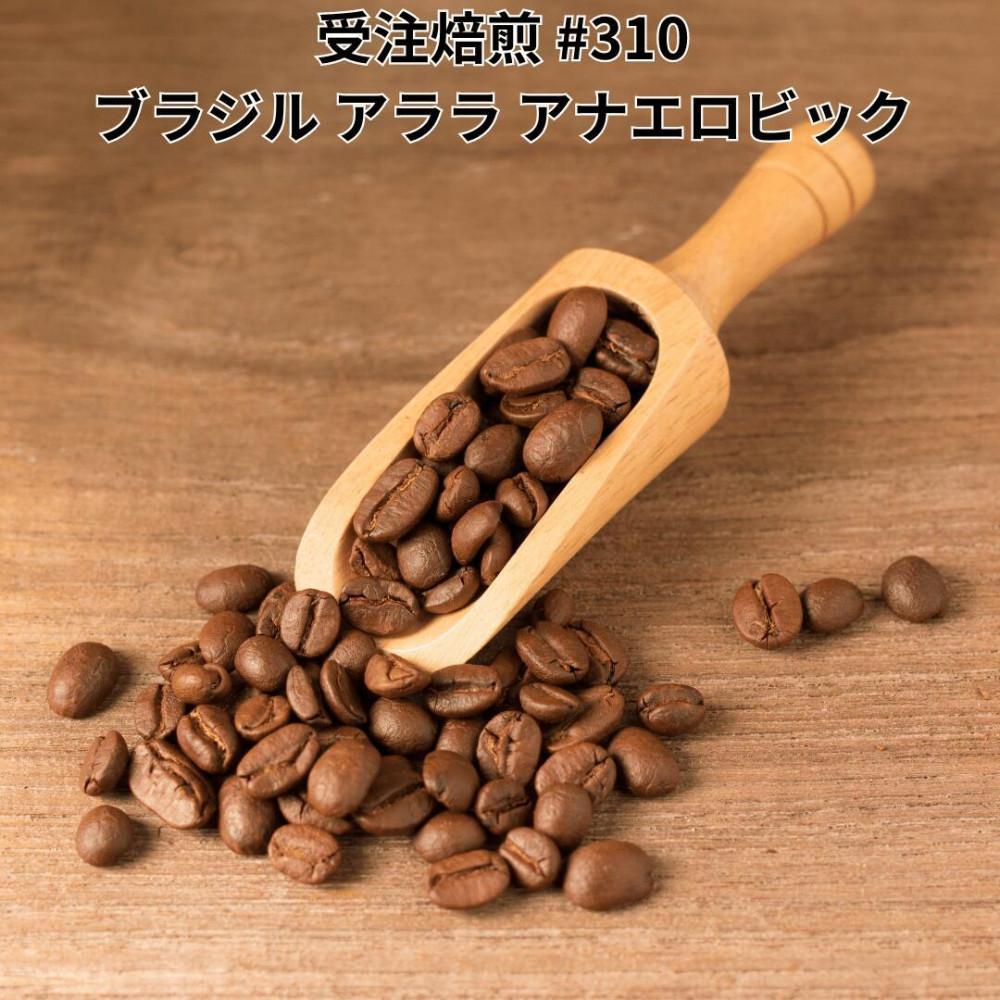 コーヒー豆 #310 ブラジル サンコーヒー アララ アナエロビック 受注焙煎！310g 珈琲豆  自家焙煎