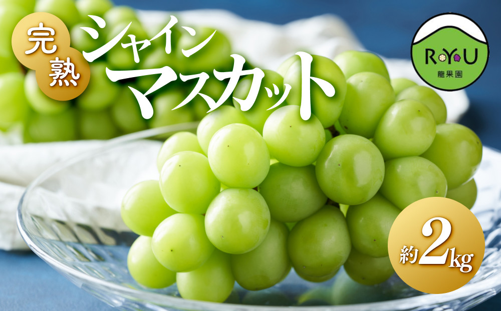 完熟シャインマスカット（通常品）&nbsp;2kg