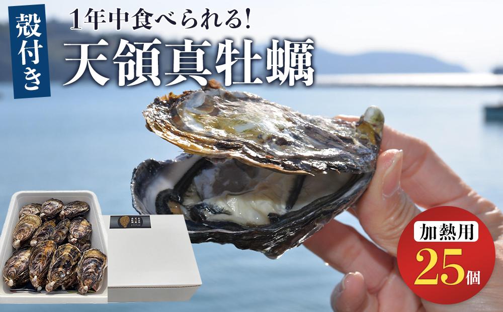 小豆島 天領真牡蠣 (殻付き加熱用) 25個セット