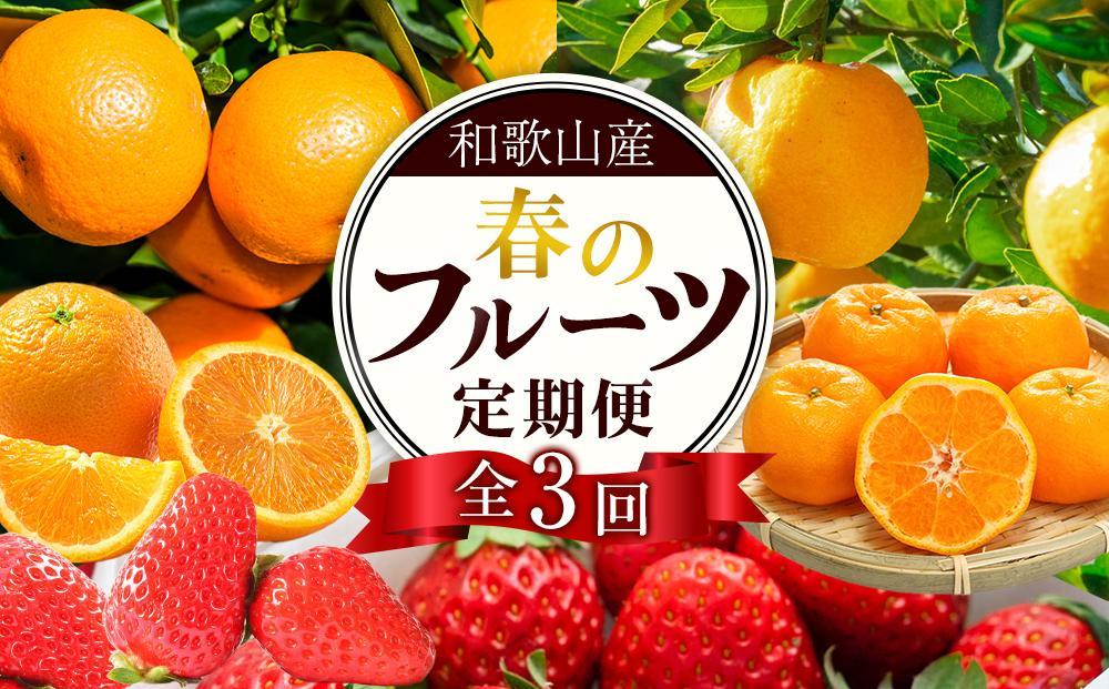 定期便全3回 【2月・3月・4月発送】 和歌山の春のフルーツ （ポンカン・清見オレンジ・まりひめ）【TM174】