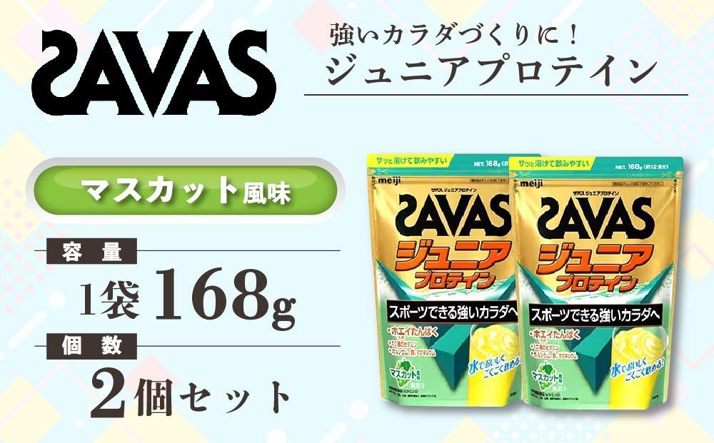 GJ86 明治 ザバス ジュニアプロテイン マスカット風味 168g（約12食分）【2個セット】【SAVAS ザバス プロテイン 人気プロテイン　明治プロテイン 健康 健康食品 美容 ボディメイク 体づくり 筋トレ 岡山県 倉敷市 人気 おすすめ】