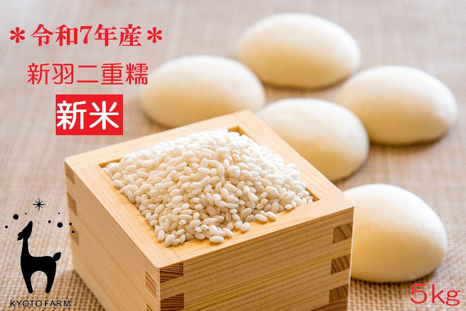 【新米先行受付】【京都ファーム】令和7年産&nbsp;京都ファームのもち米&nbsp;新羽二重糯5kg&nbsp;［&nbsp;京都&nbsp;京北産&nbsp;もち米&nbsp;人気&nbsp;おすすめ&nbsp;米&nbsp;コメ&nbsp;おこめ&nbsp;お取り寄せ&nbsp;通販&nbsp;送料無料&nbsp;ふるさと納税&nbsp;］