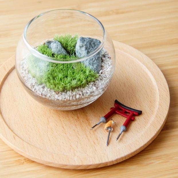 タマリウム　ブリザードグリーン　新品　10個セット　匿名配送　テラリウム タマリウム ブリザードグリーン 新品 10個セット 匿名配送 テラリウム