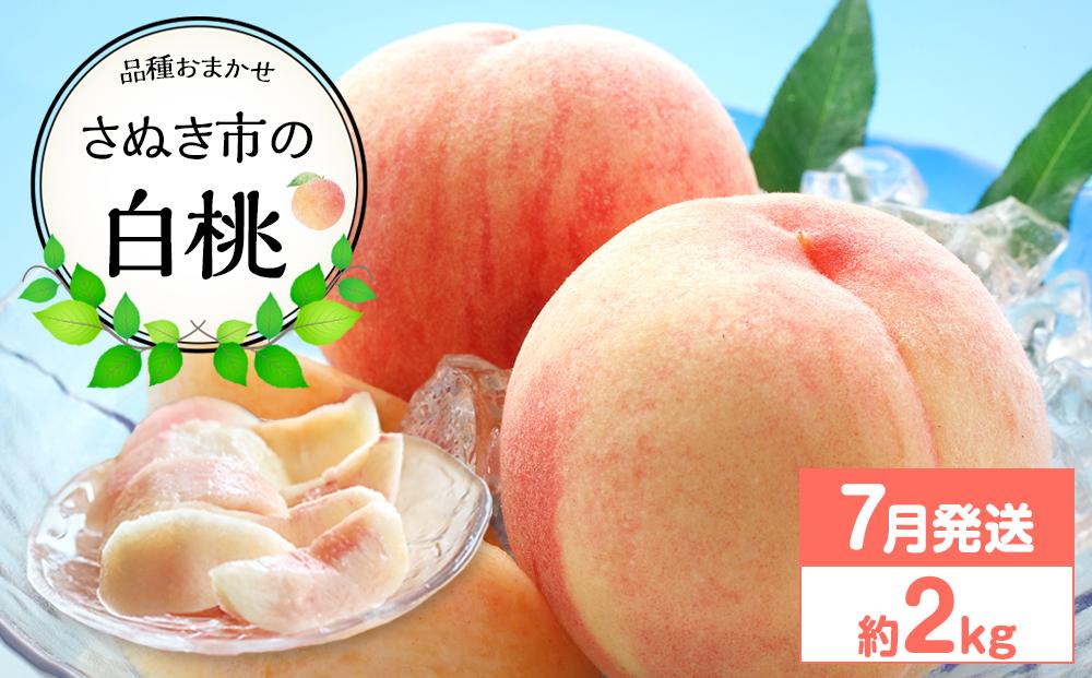【先行予約】さぬき市の白桃 約2kg 7月発送 品種おまかせ【国産 もも 桃 白桃 白鳳 あかつき 清水白桃 なつおとめ 川中島白桃 まどか 黄金桃 西大母 飯田桃園 さぬき市】