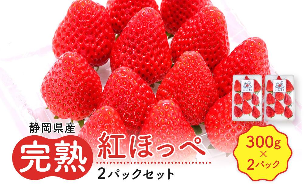 先行受付【静岡県産いちご】完熟紅ほっぺ2パックセット（300g×2パック）【2025年1月下旬以降発送予定】