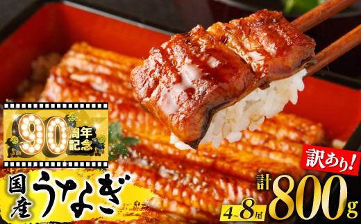 【訳あり】鹿児島県産長蒲焼　規格外品（4尾～8尾）　800ｇ