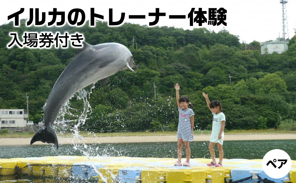 イルカのトレーナー体験&nbsp;ペア&nbsp;入場券付き【体験&nbsp;イルカ&nbsp;ドルフィン&nbsp;日本ドルフィンセンター&nbsp;香川県&nbsp;さぬき市】