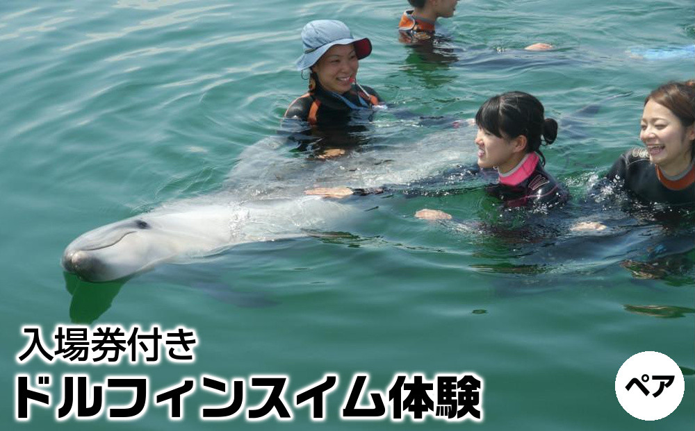 ドルフィンスイム体験&nbsp;ペア&nbsp;入場券付き【体験&nbsp;イルカ&nbsp;ドルフィン&nbsp;日本ドルフィンセンター&nbsp;香川県&nbsp;さぬき市】