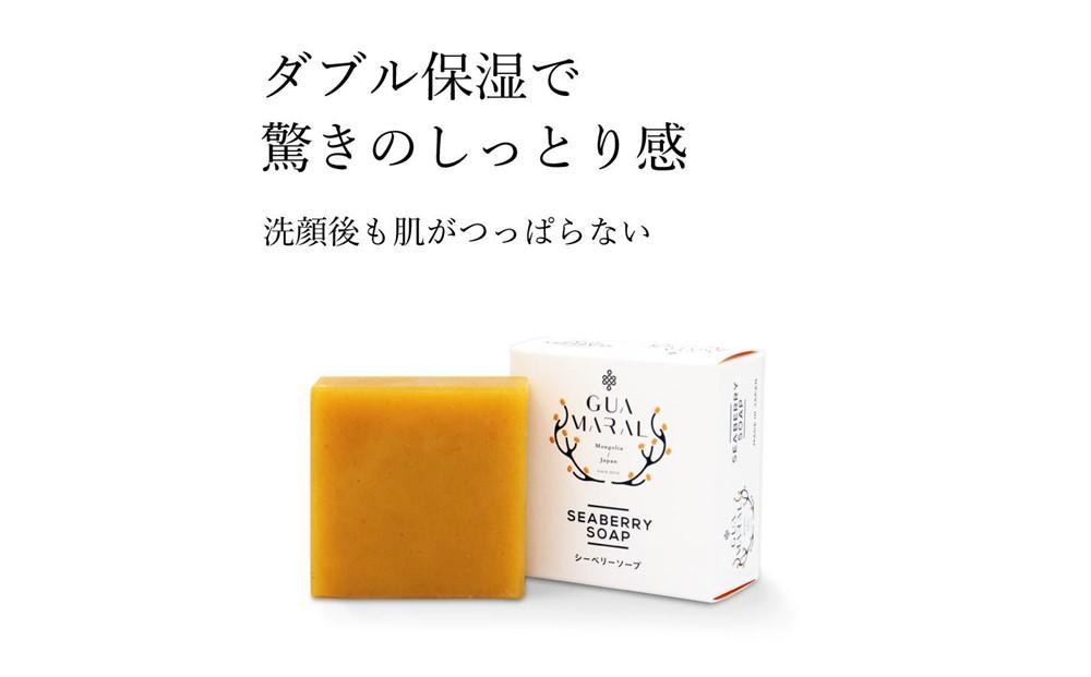 グアマラルシーベリーソープ 100g 1個セット  サジー石鹸