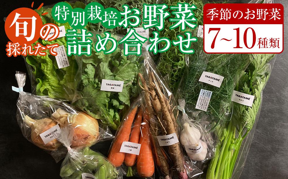 特別栽培 旬の採れたて お野菜 7～10種類詰め合わせセット TAGATAME タガタメ【野菜 特別栽培 栽培期間中農薬不使用 採れたて さぬき市】