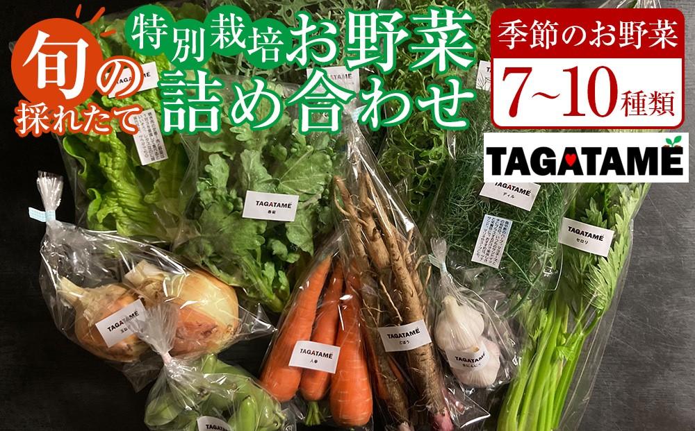 特別栽培 旬の採れたて お野菜 7～10種類詰め合わせセット TAGATAME タガタメ【野菜 特別栽培 栽培期間中農薬不使用 採れたて さぬき市】