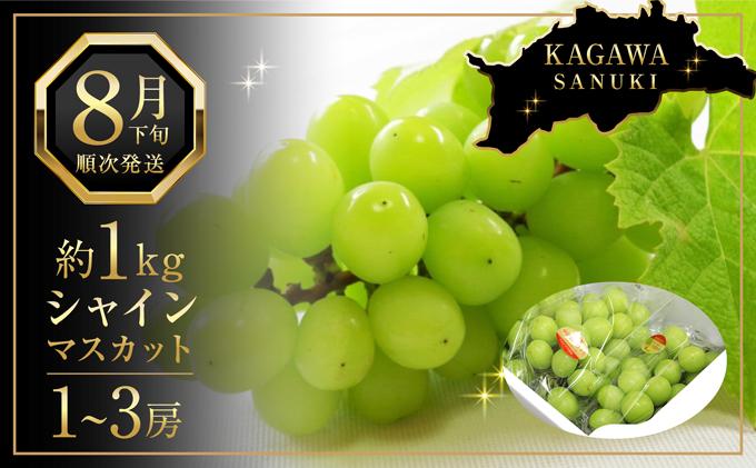 先行予約 シャインマスカット 1kg　(1～3房)【香川県産 大粒 種なし 葡萄 ぶどう フルーツ 国産 旬の採れたて  数量限定】