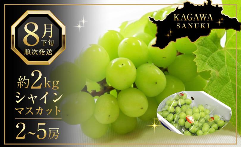 先行予約 シャインマスカット 2kg (2～5房)【葡萄 ぶどう マスカット フルーツ 果物 香川県産 数量限定】