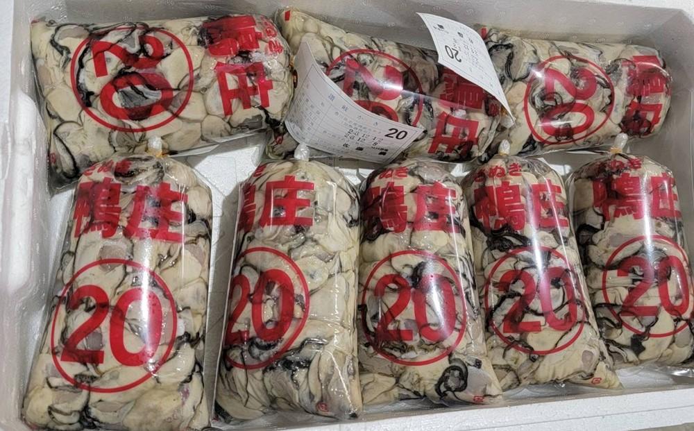 訳あり 牡蠣 むき身 1kg【訳あり 牡蠣 1kg むき身 加熱調理用 かき 剥きガキ 生 冷蔵 小粒 不揃い 香川 さぬき】