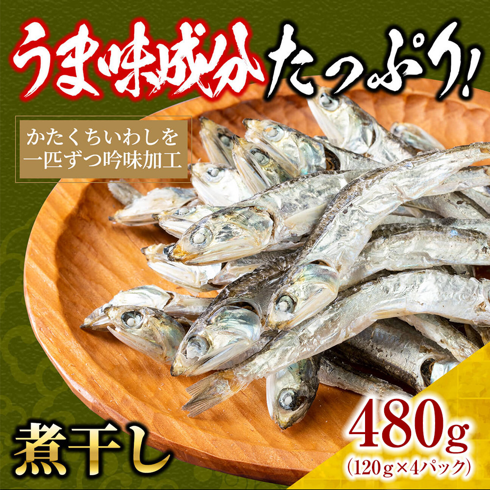 煮干し&nbsp;480g(120g×4)【小分け&nbsp;セット&nbsp;いわし&nbsp;鰯&nbsp;カタクチイワシ&nbsp;人気&nbsp;出汁&nbsp;おやつ&nbsp;おつまみ&nbsp;香川県&nbsp;さぬき市】