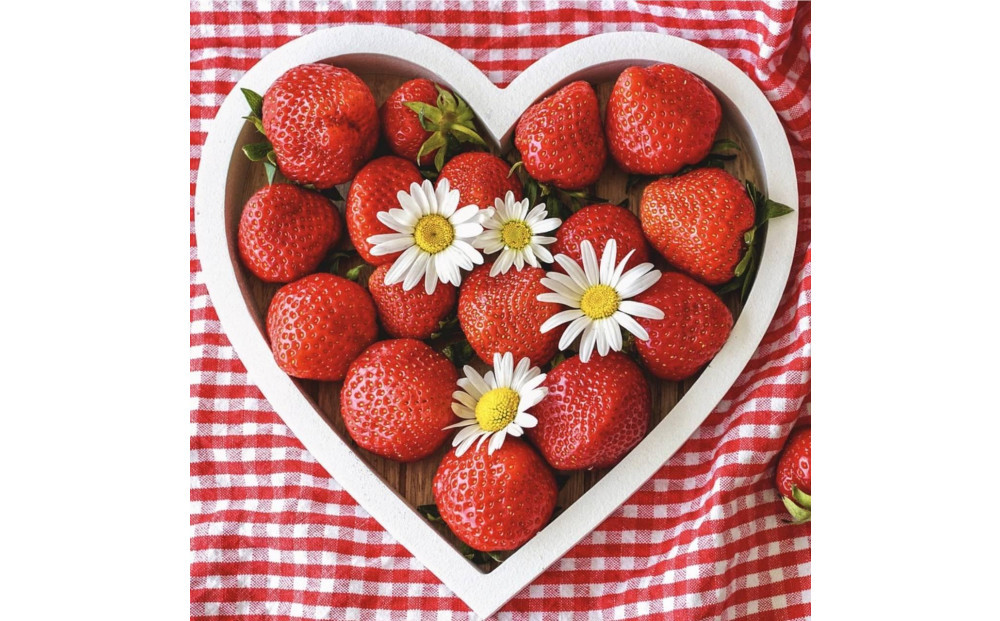 【定期便３回】福岡県産&nbsp;完熟&nbsp;博多あまおう&nbsp;270ｇ×4【2026年2月1日～発送】